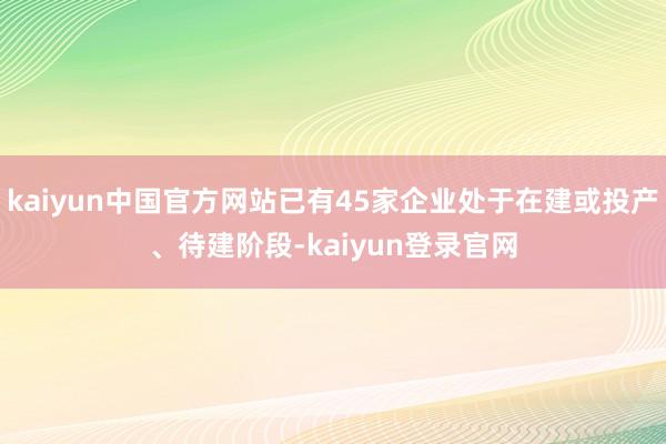 kaiyun中国官方网站已有45家企业处于在建或投产、待建阶段-kaiyun登录官网