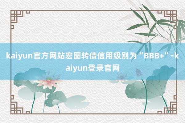 kaiyun官方网站宏图转债信用级别为“BBB+”-kaiyun登录官网