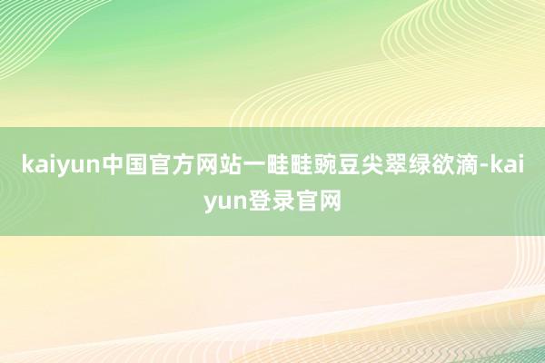 kaiyun中国官方网站一畦畦豌豆尖翠绿欲滴-kaiyun登录官网