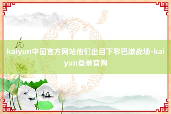 kaiyun中国官方网站他们出目下黎巴嫩战场-kaiyun登录官网